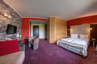 Отель F&B Spa Resort (ex. Fomich Hotel) Буковель Двухместный номер с 1 кроватью-10