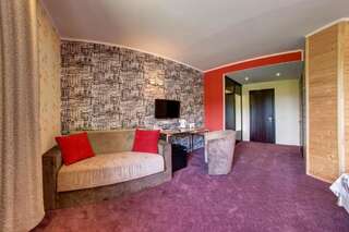 Отель F&B Spa Resort (ex. Fomich Hotel) Буковель Двухместный номер с 1 кроватью-12